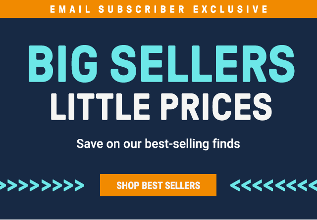 EMAIL SUBSCRIBER EXCLUSIVE - Big Sellers Little Prices. Save on our best-selling finds. Shop Best Sellers